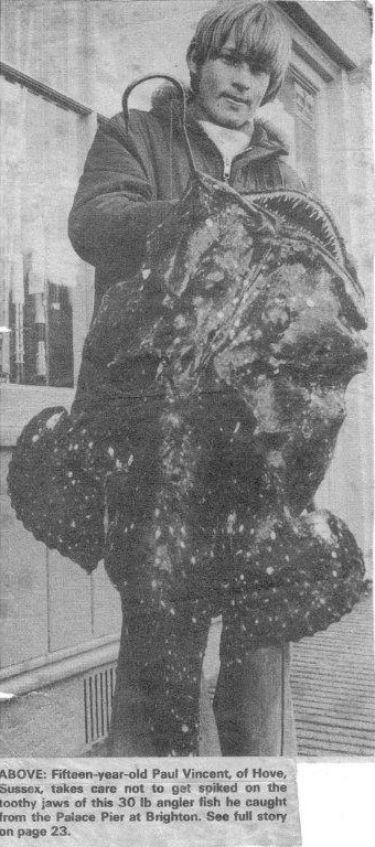 Anglerfish