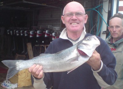 GlennIBass