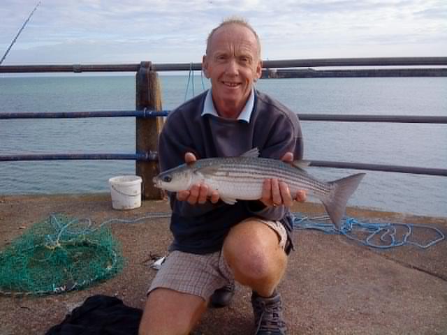 Mickmullet