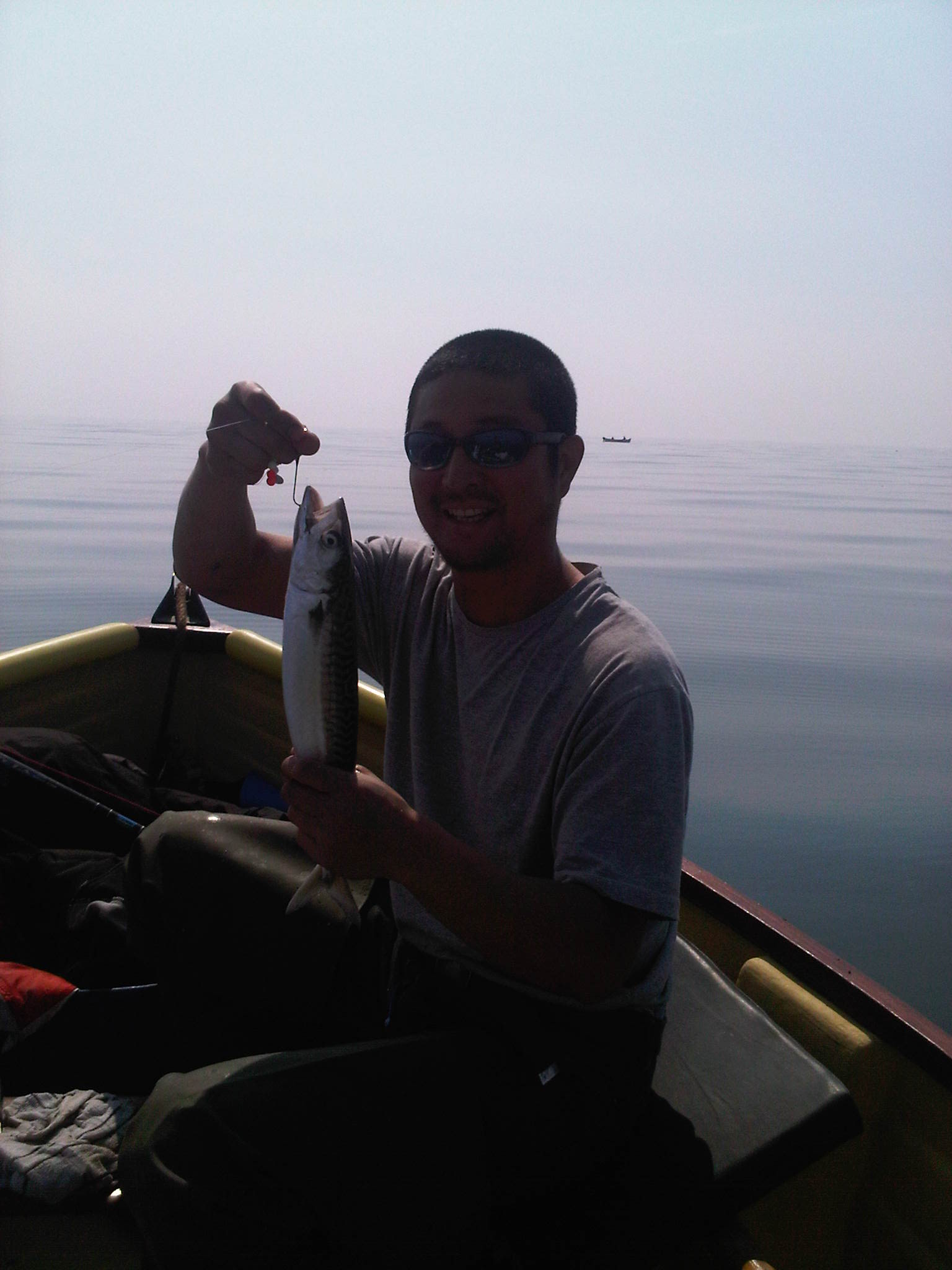 Toshi_Mackerel