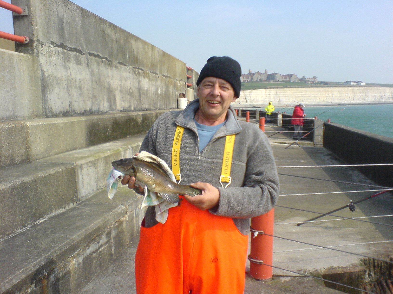 harrywrasse