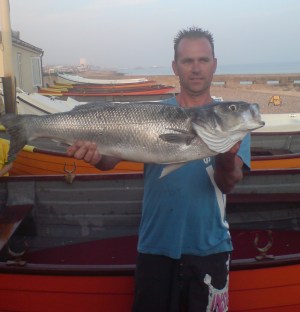 kevinsbass